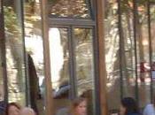 Restaurant Simone 13th: Roshomon, Forgetitude Mixed Results.