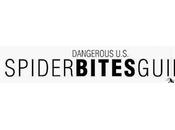 Dangerous U.S. Spider Bites Guide