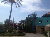 Marinus: Into Your Escape