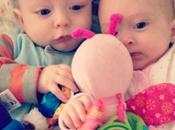 Battle Pink Butterfly 281/365