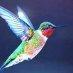 Google Hummingbird Unveiled