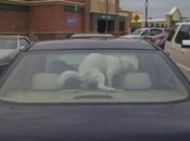 Wal-Mart..The Parking Addition.