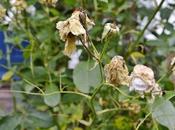 Month View September 2013