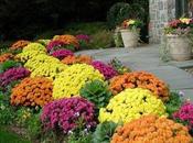 Autumn Curb Appeal: Love October