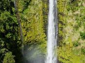 Island Waterfalls