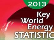 Publishes World Energy Statistics 2013