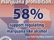 Texans Want Legalization Marijuana