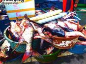 Smell Something Fishy Jala Jala, Rizal Bighead Carp Versus Milkfish)