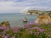Isle Wight Should Your List