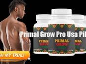 Primal Grow Reviews Does Really Work