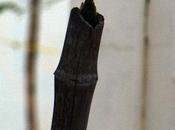 Some Story Broken Pole