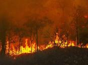 Wildfires: Likely They Happen Future Where?