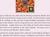 Stitch Guide Tropic Colors Maze!