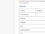 Customize Transactional Email WooCommerce