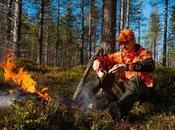 Moose Hunting Started Finnish Lapland