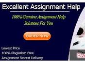 Brand Management Assignment Help Experts Offers Best Professional Writing Services Australia
