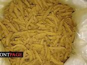 Navy Seizes Dried Turmeric
