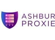 Ashburn Proxies Review