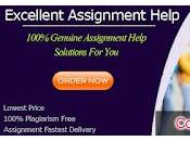 Hire Best College Assignment Expert Help Your Homework