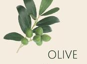 Olive Peace Offering