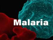 Close Malaria Vaccine?