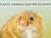 Book Review Secret Life Arable Field Sophie McCall