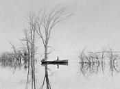 Early Photography: Spring Inundation, Near Montreal, Alexander Henderson