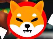 Shytoshi's Shocking Price Prediction Shiba Coin Massive Burn Confirmed