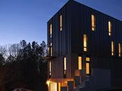 Gothic-Inspired Modern Home