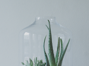 Make Weekend Project