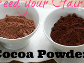 Nourishing Cocoa Natural Hair Chocolate Recipes