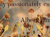 Your Writing, Blogging Creative Inspiration: Einstein Talents Curiosity