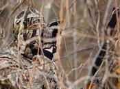 Hunting Tips