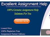 Looking Best Website Cheap Assignment Help? Offer High-Quality Homework Help Affordable Price