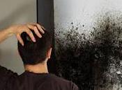 Just Does Mould Removal Work Protecting Well Your Residential Property?