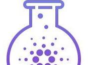 Cardano Every Dialogue Questions Market Thread October 2021