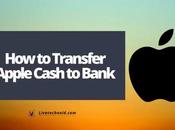 Transfer Apple Cash Bank