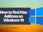 Find Address Windows