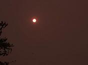 Wildfires Giving Tint Sun, Moon