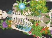 Human Burial Practices Messing Earth’s Ecosystems?