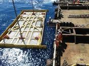 Global SURF (Subsea Umbilicals, Risers, Flowlines) Market Bussiness Trends, Share, Size, Growth, Opportunity Forecast 2021-2026