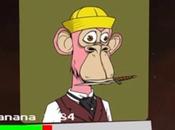 Will Your Bored Banana Win!!?? Take Look Bananas Stats