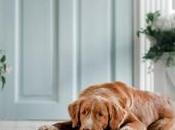 Left Outside: Short Reminisce