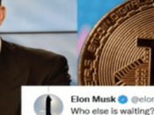 Paris Hilton” “Elon Musk” Picassol $250 Million Several NFTs, Anyone Mint December