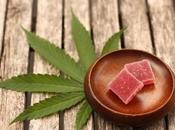 Different Exhausting Flavors Edibles