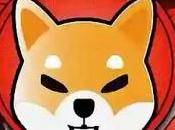 Despite Shiba Coin Recent Decline, Prominent Crypto Exchange Committed Holding Long Run: News