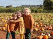 Read About Harm Anti-Trans Bias Media