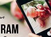 Must Have Instagram Tools Boost Your Business