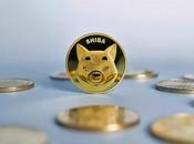 Should Never Sell Your Shiba Coin? Coin Bizarre, Incredible, Impossible Ignore
