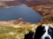 Ireland’s Ancient East Day-hikes Explore Region